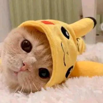 快乐宝贝😘
