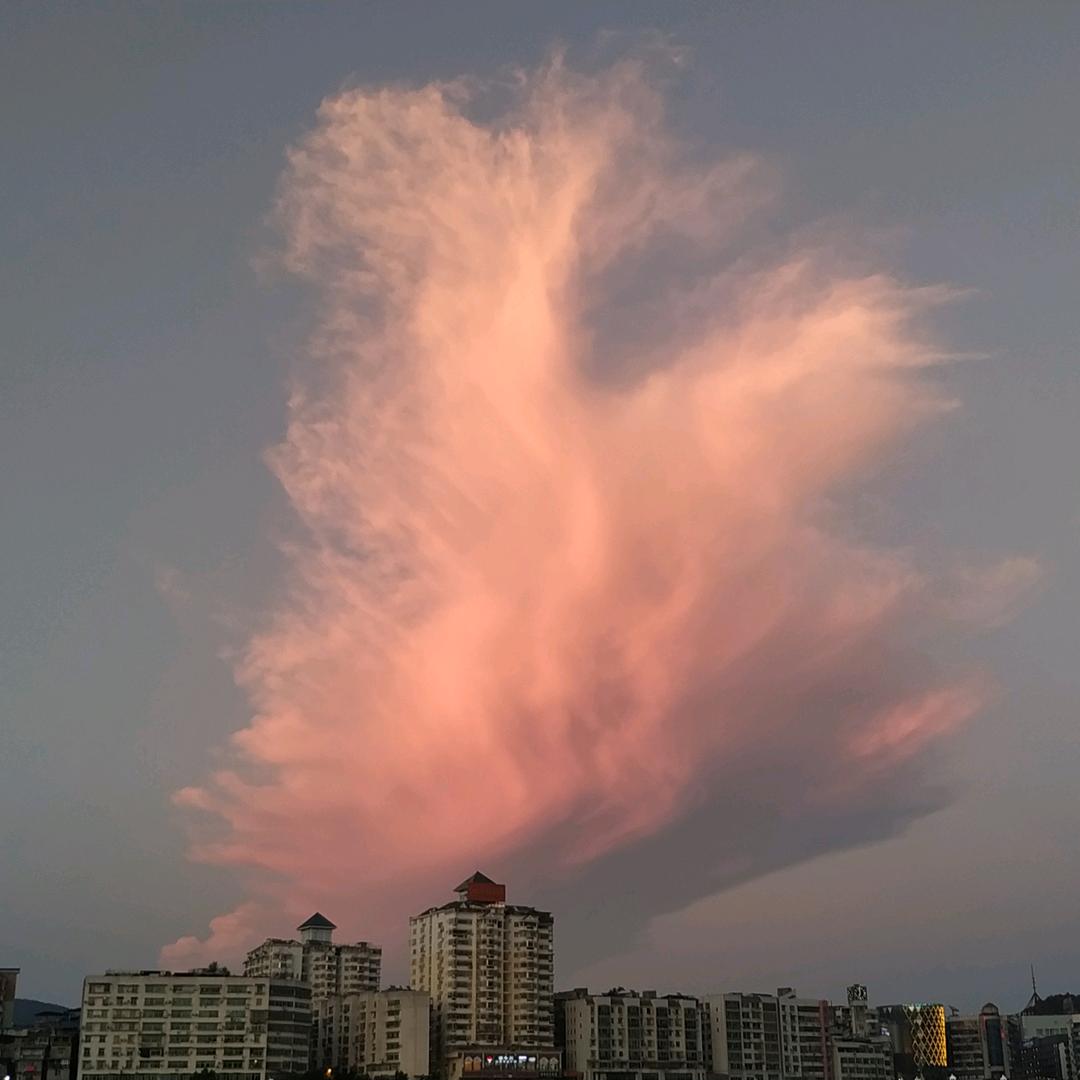 🌈兰🌈
