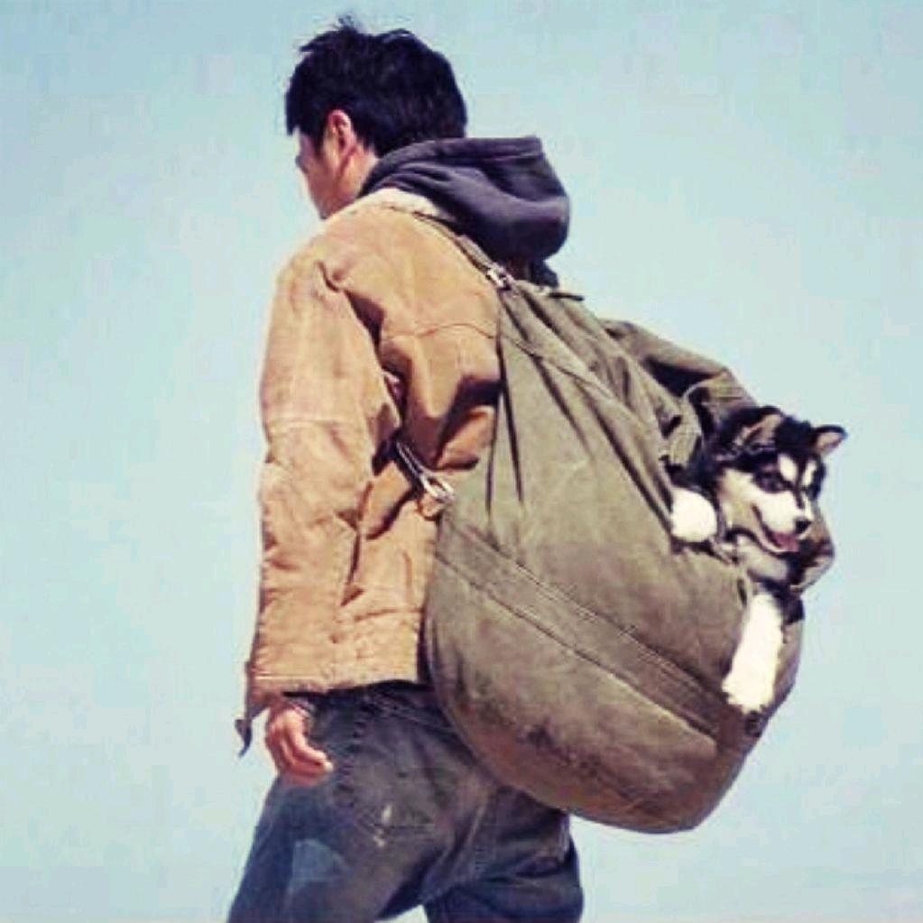 葱叔