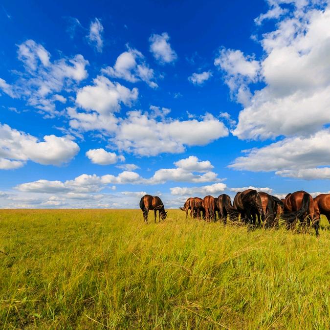 用户8055107486647自由飞翔