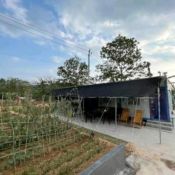 龙行天下，虎啸山川