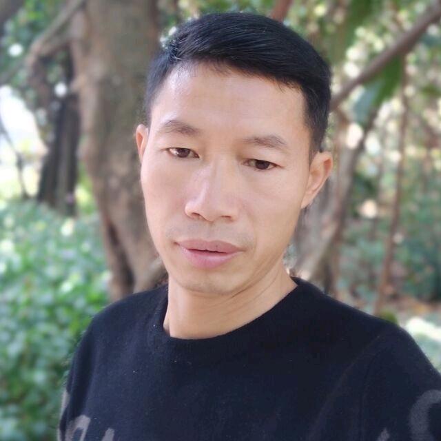 风中的阳光