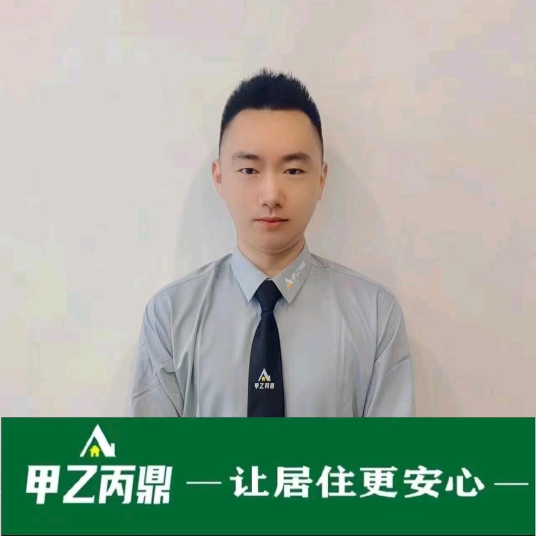 安岳甲乙丙鼎龚正林