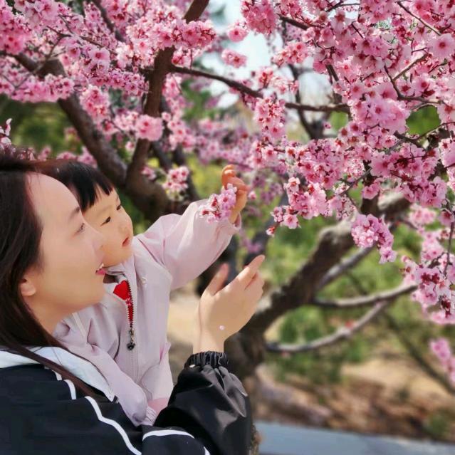 静