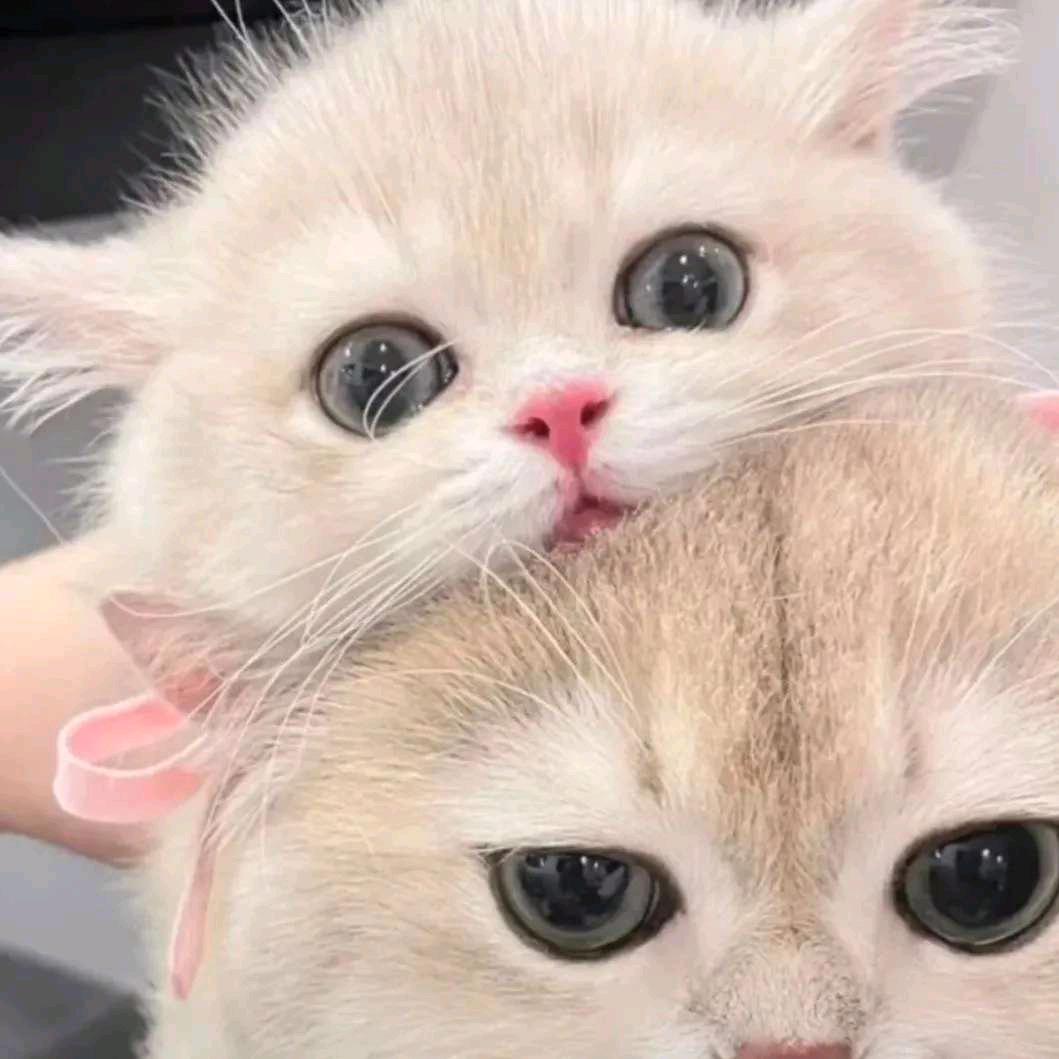 玖柒.