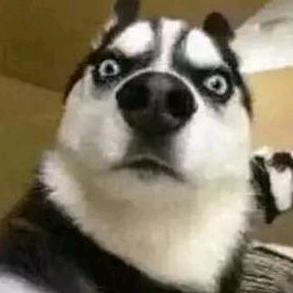 荣驰汽车电瓶批发