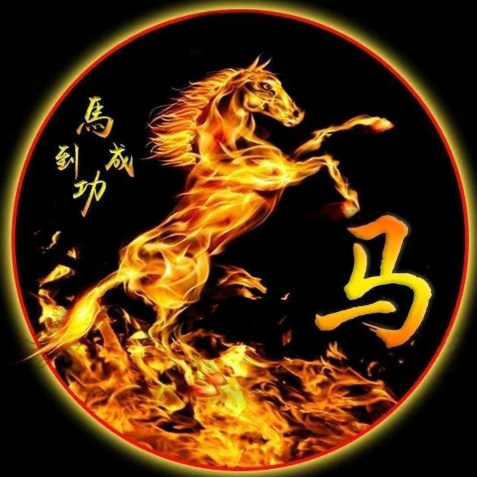 马上有钱