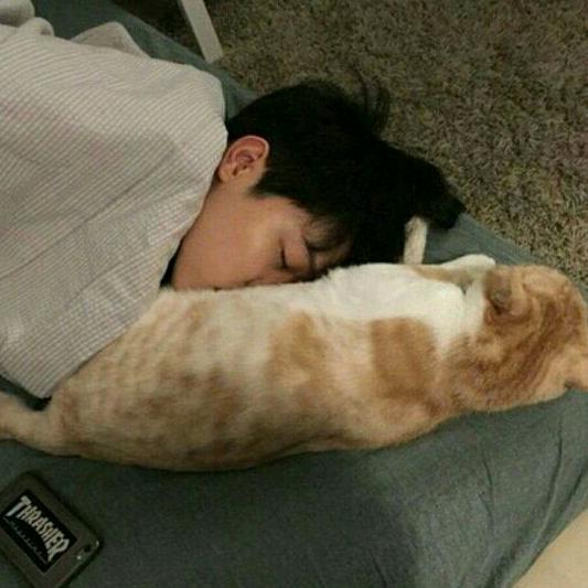 不眠