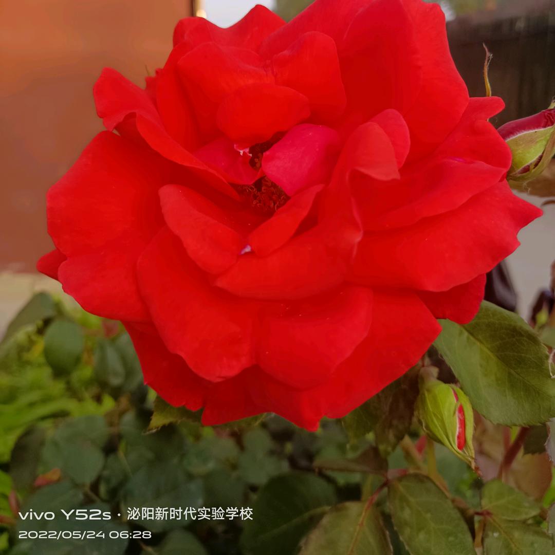 观时事宇哥