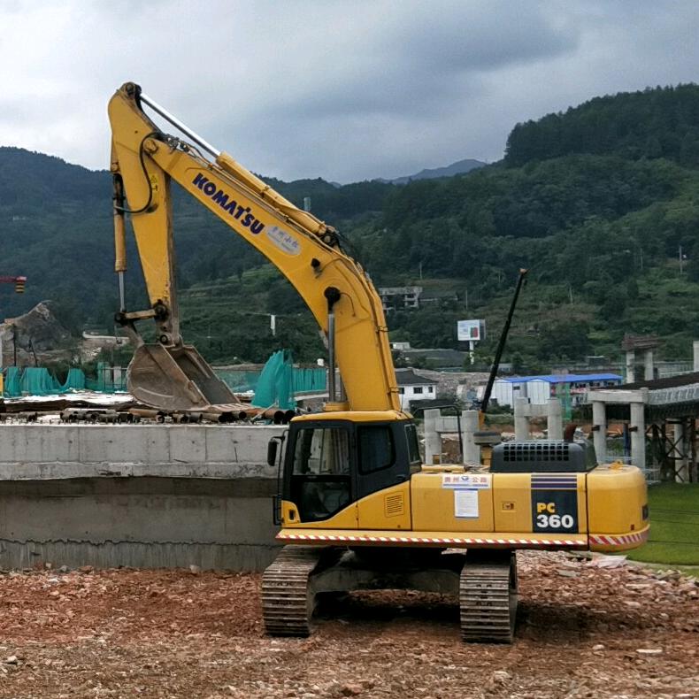 阳洋李