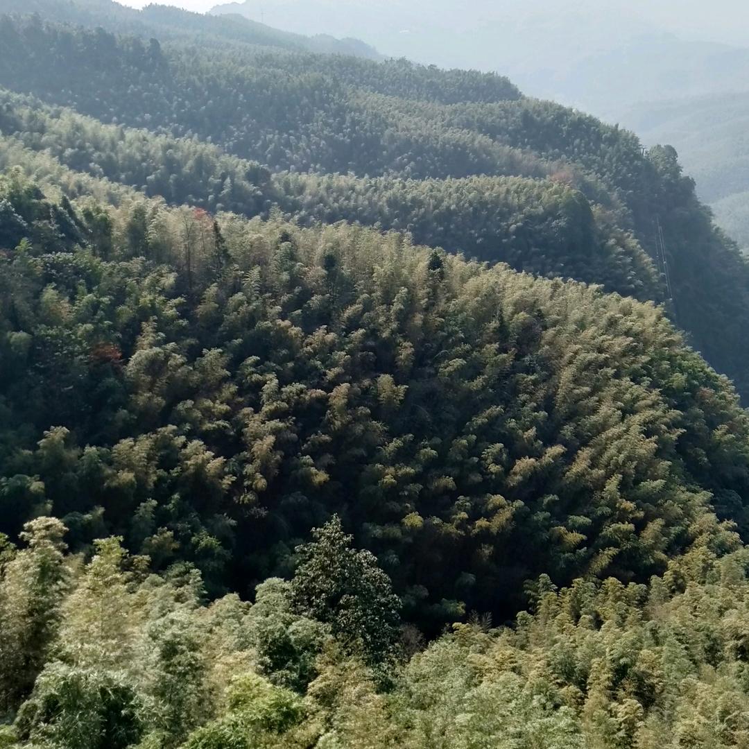 ⑧零後の靣瘫