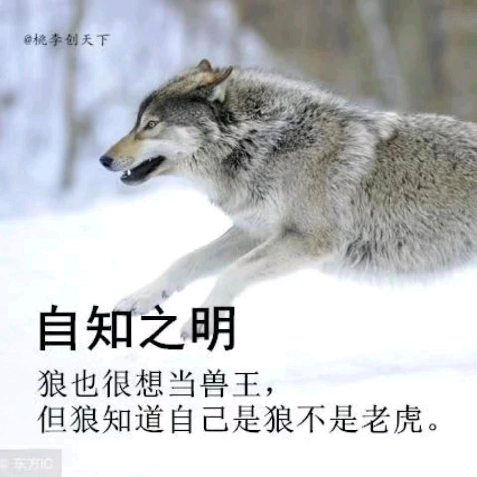ℳঞ过 ꦿ往 ໌້ᮨ꧔ꦿ᭄