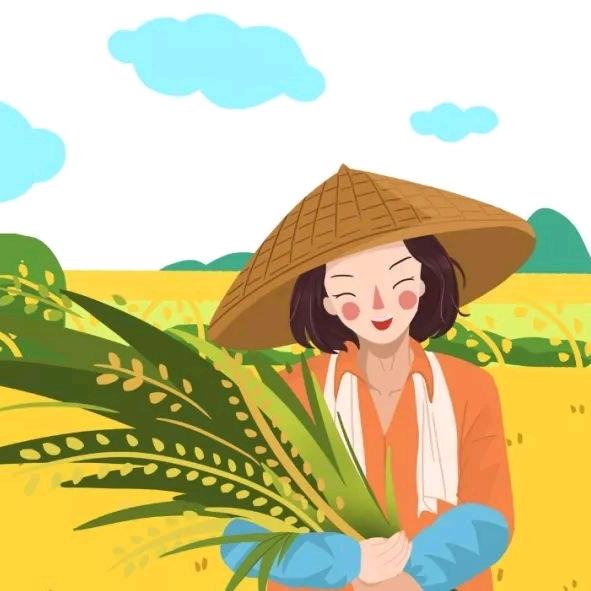 小孟说农业