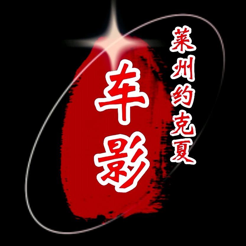 🏎️车影🏎️（莱州约克夏）