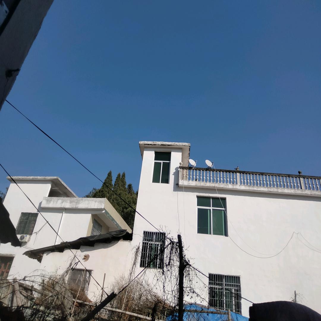 张礼凤