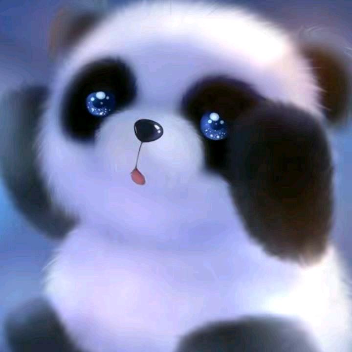 小熊熊