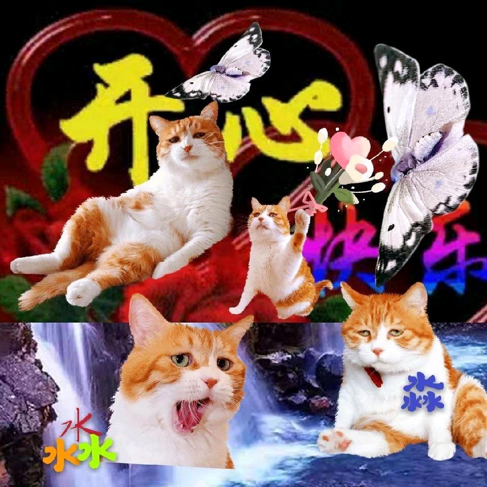 南南合作