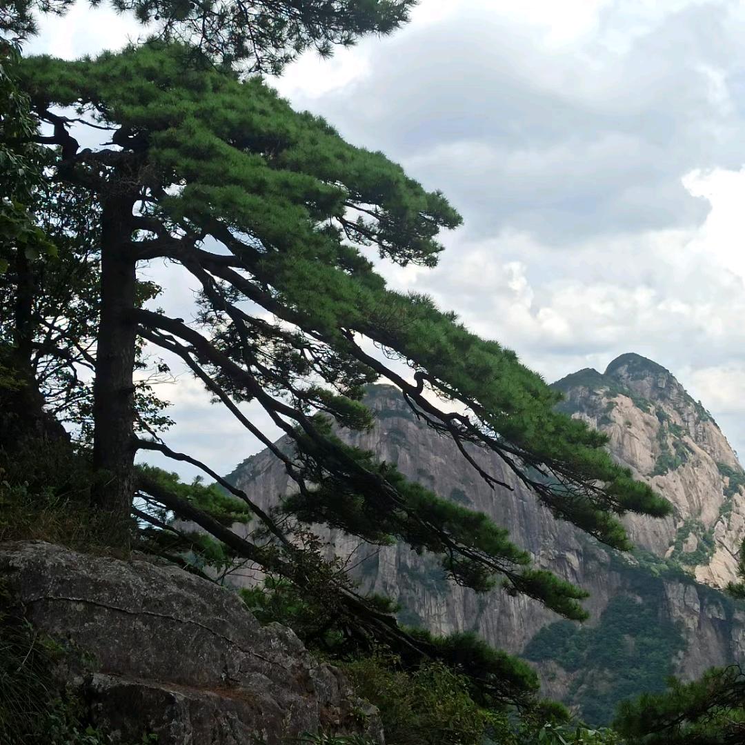 知足常乐