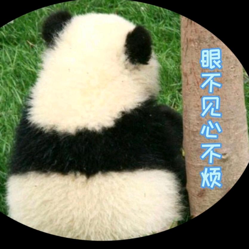 体憨心敏