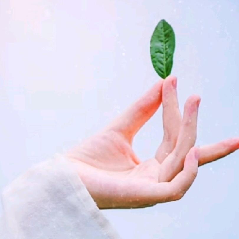 一生平安🍀
