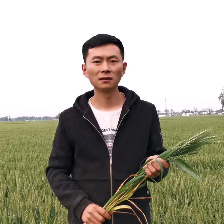 芸保凯-提质增产-刘少军