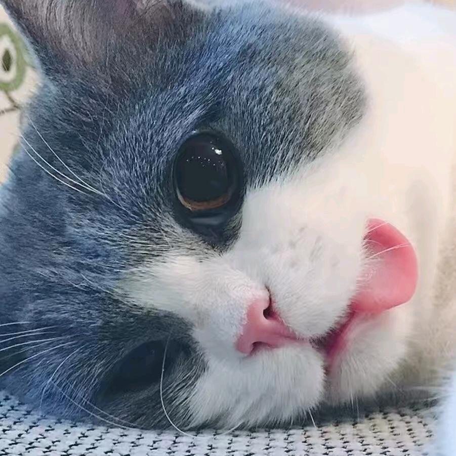 星澄丶