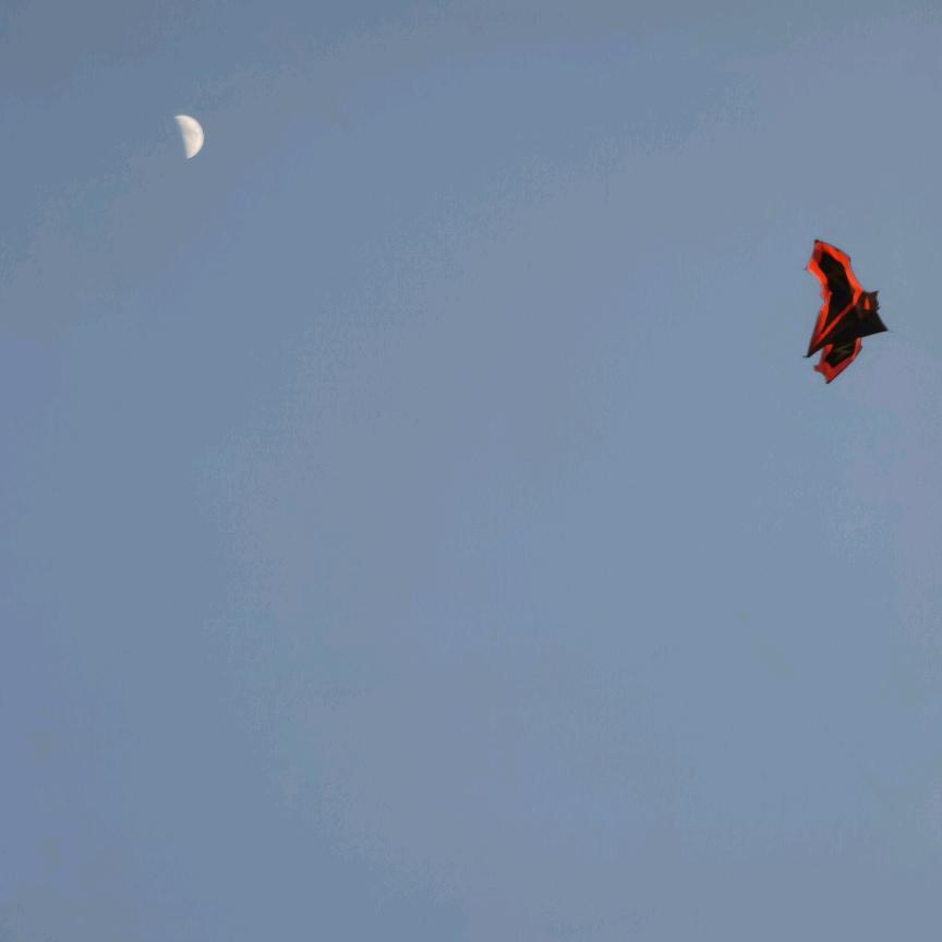 沐音