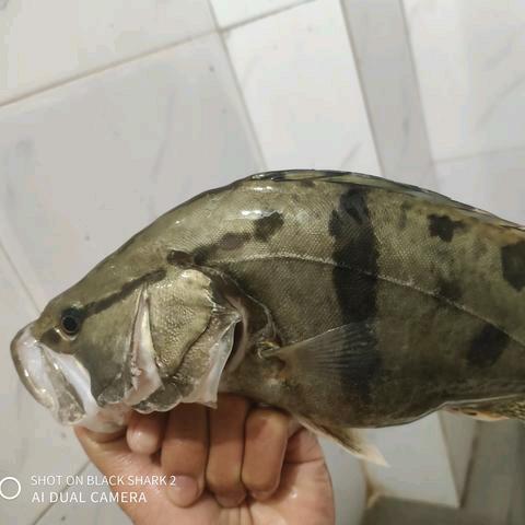 我叫长空呀