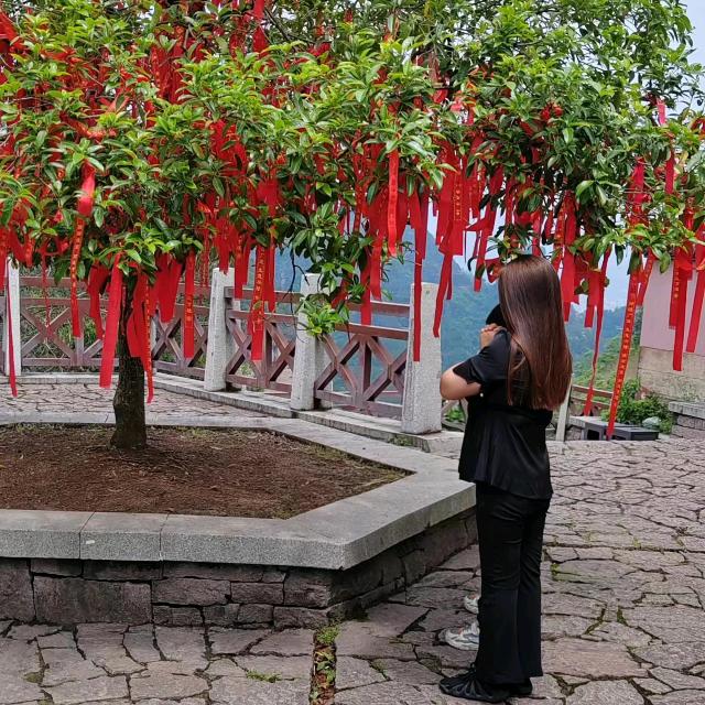 ➷幸运❦柠檬༊