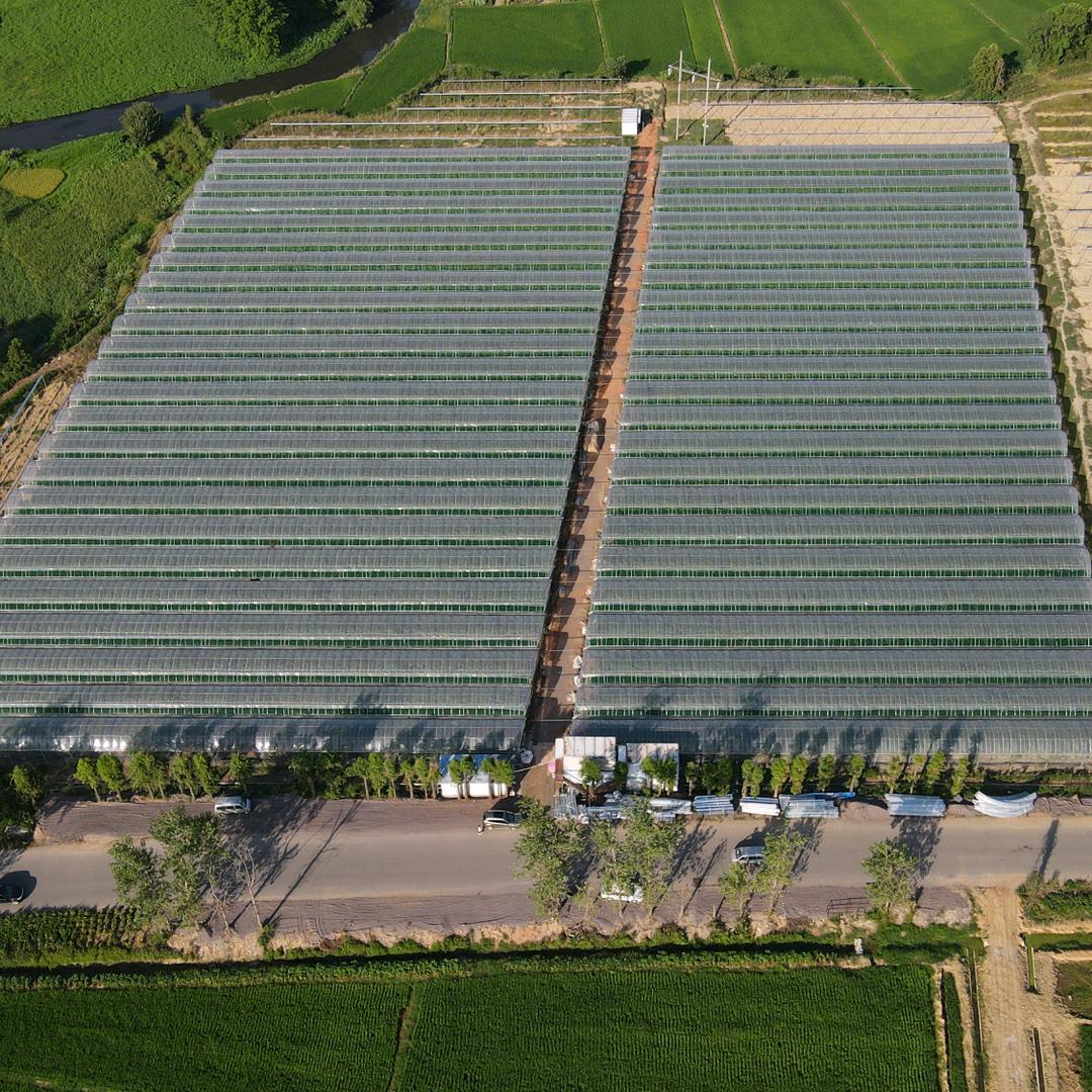 丰城市洛市镇红星家庭农场