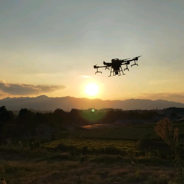 箐（jīng）林牧歌