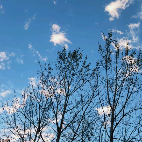 奥特曼打小怪兽༆