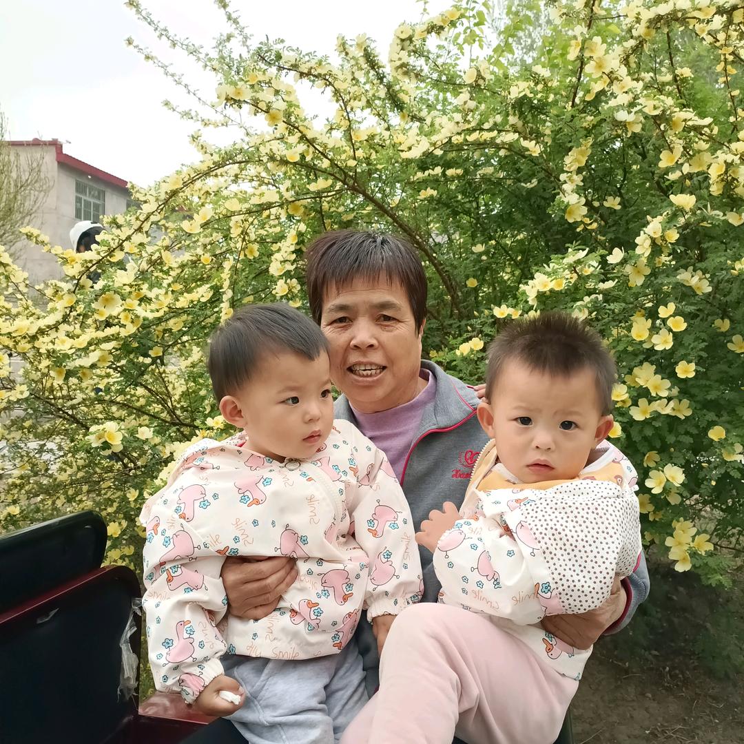 贺奶奶