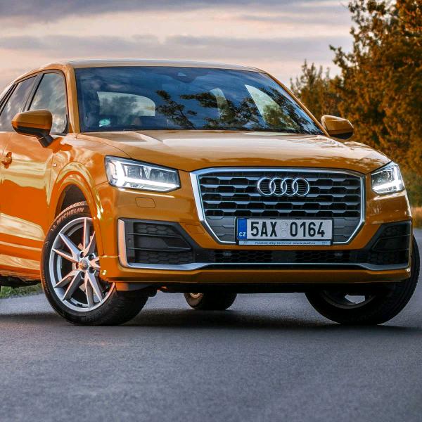 用户广西沙糖桔