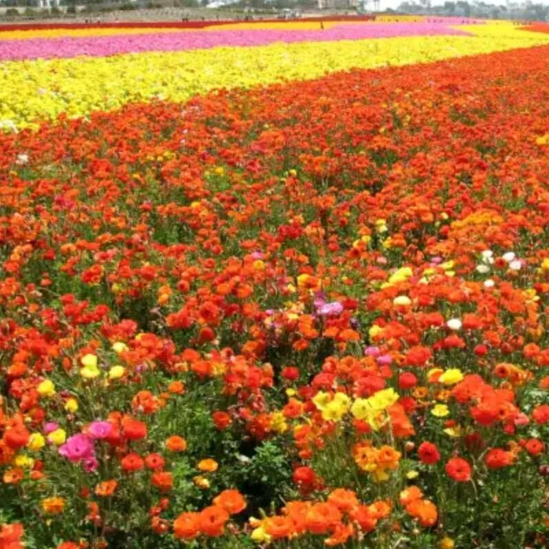 waiting,,,,,,,每一天