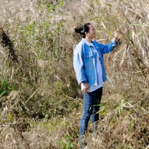 🌈落叶知秋🍁