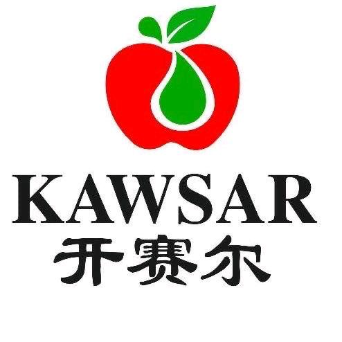 乌鲁木齐开赛尔实业发展有限公司