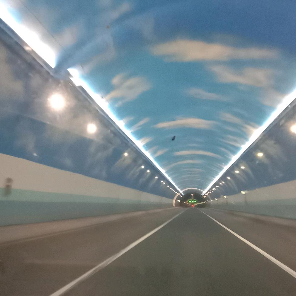 你永远爱着我1921000507288丰