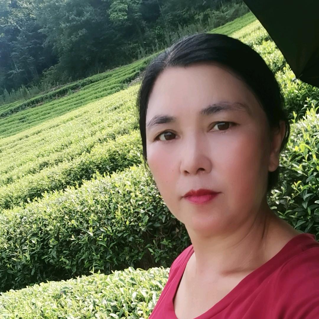 九龙山茶业