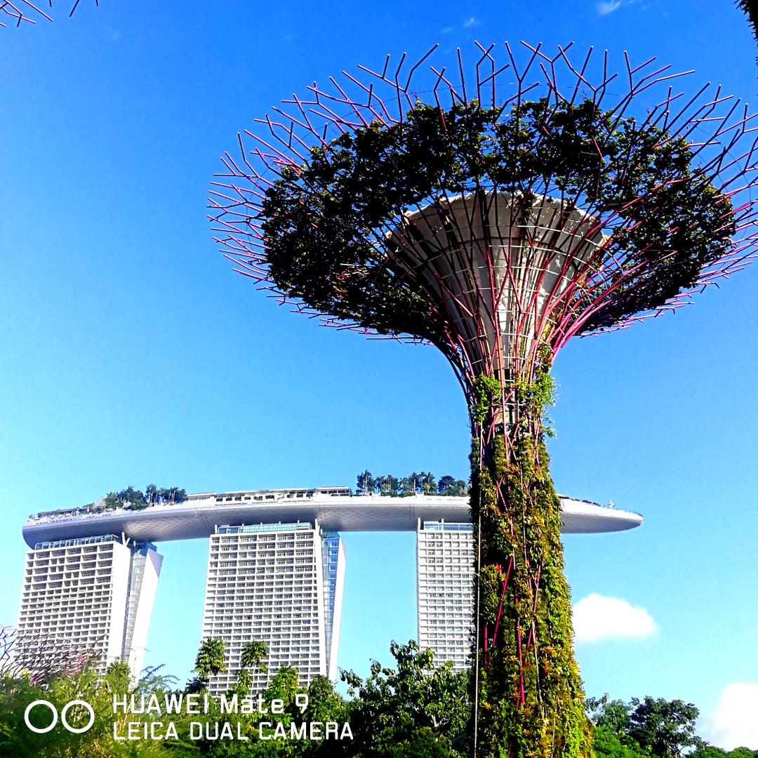 宜都叉车出租 清障救援 设备吊装