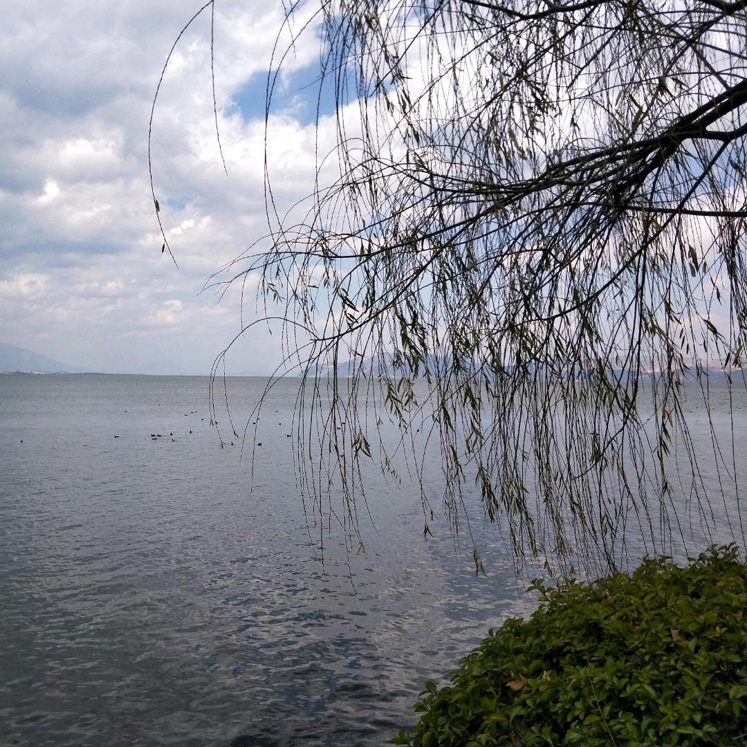 🌾顺其自然🌾