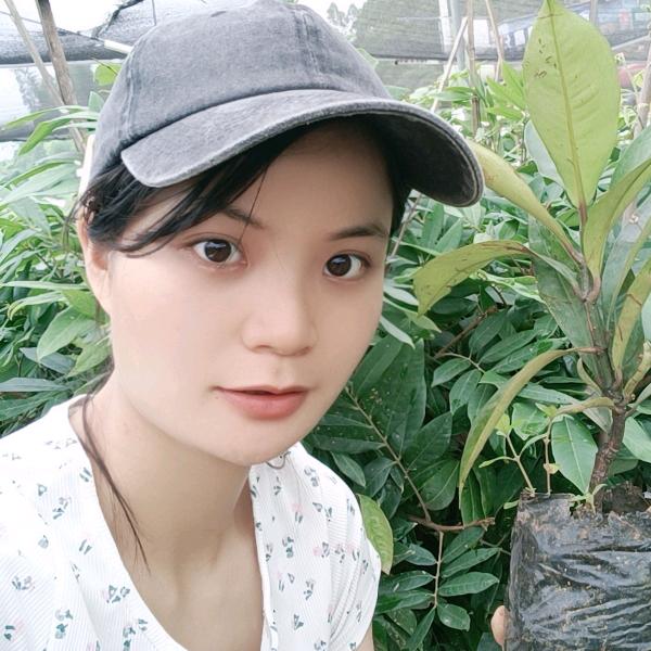 灵山县武利镇丽金果苗种植场