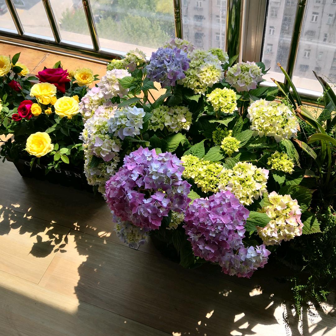 林子