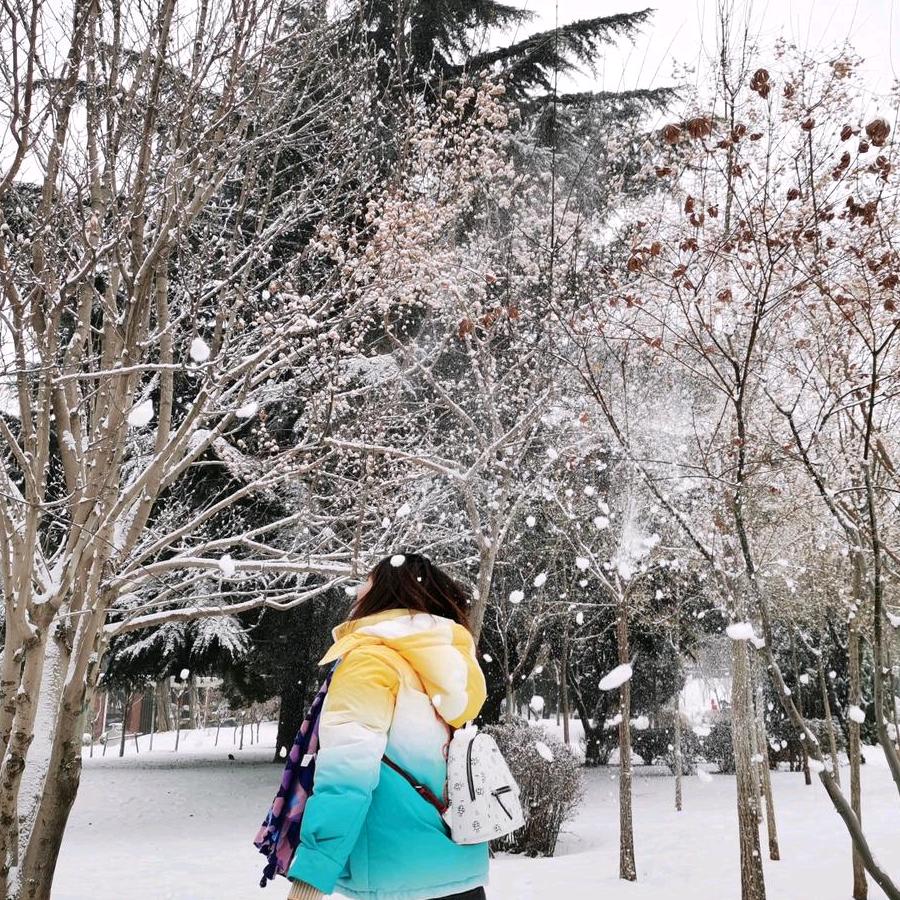 当时只道是寻常