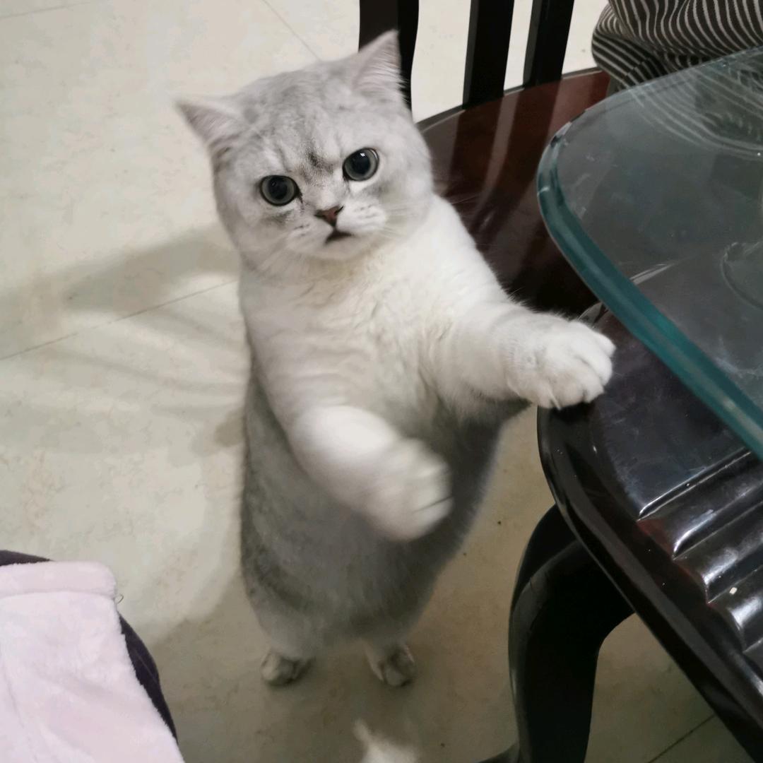 成都网约车司机