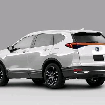 互联网上交朋友（蒋）