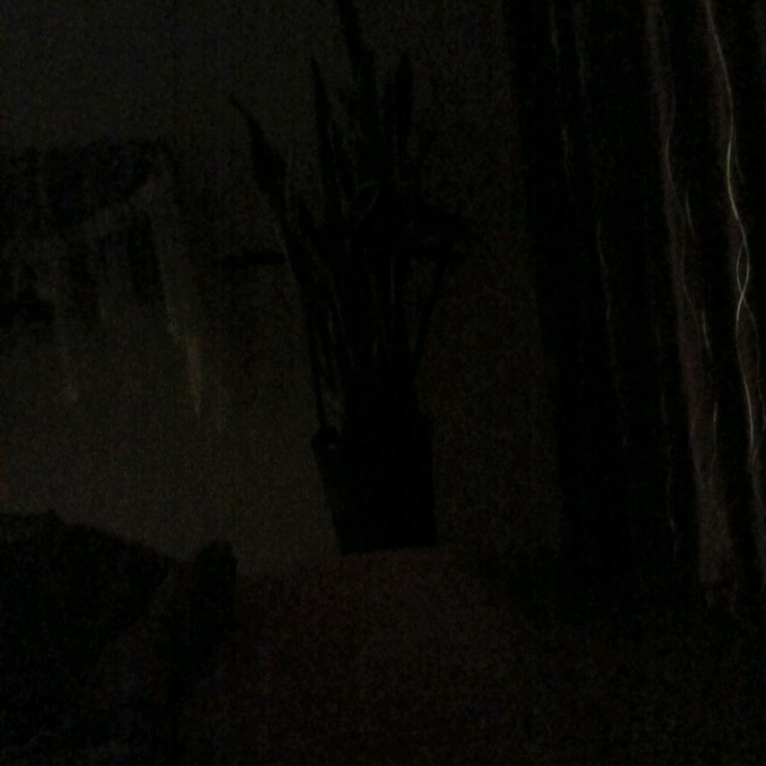 小新