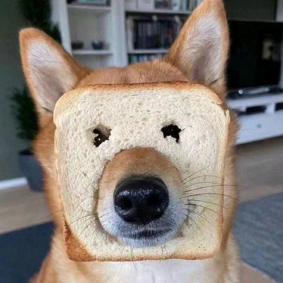 郑州小牛房地产营销策划有限公司