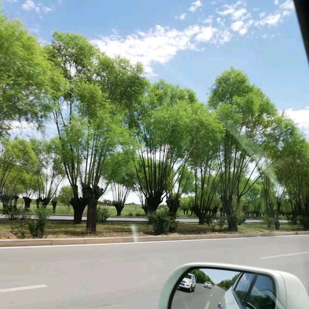 北街十三少