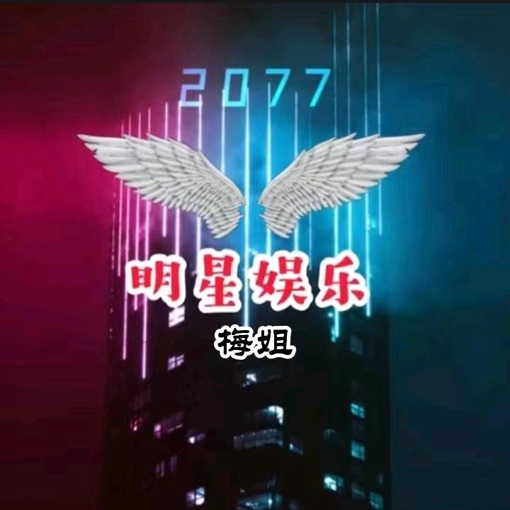 梅姐明星娱乐